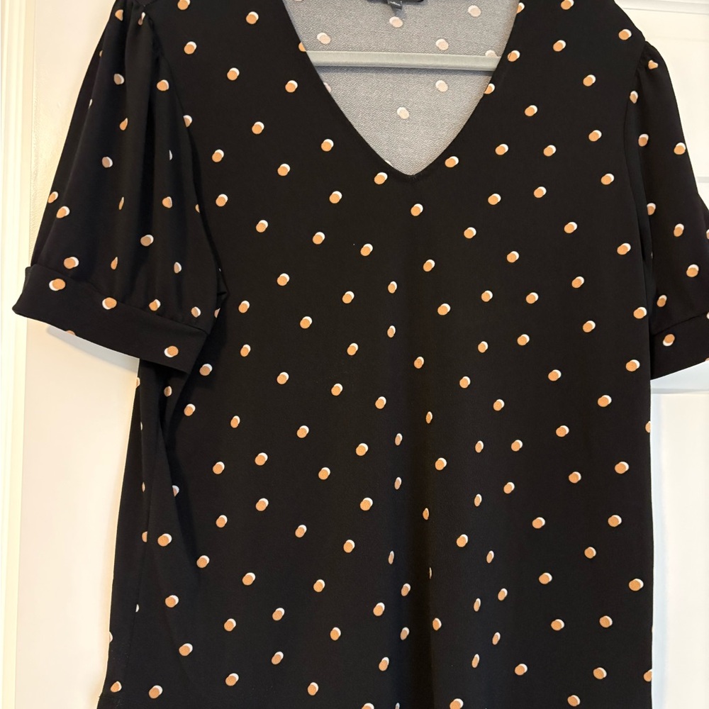 Adrianna Papell Black and Tan Polka Dot Blouse